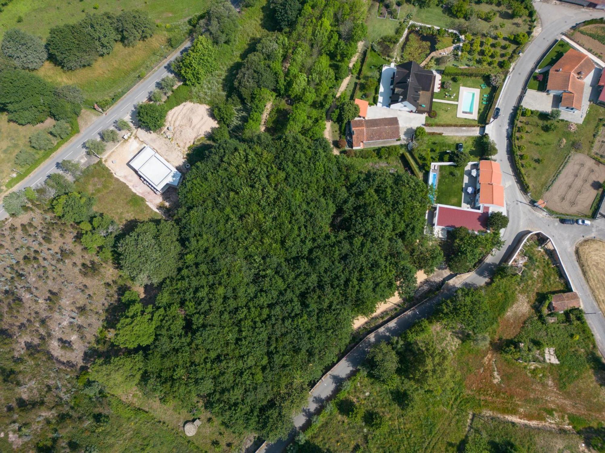 Casa Do Carvalhal - Quinta Do Soldado Alquerubim Exterior foto